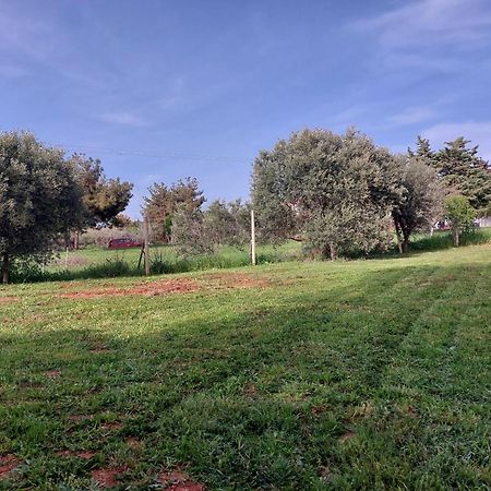 Black N' White Cozy Housegarden Alexandroupoli Bagian luar foto