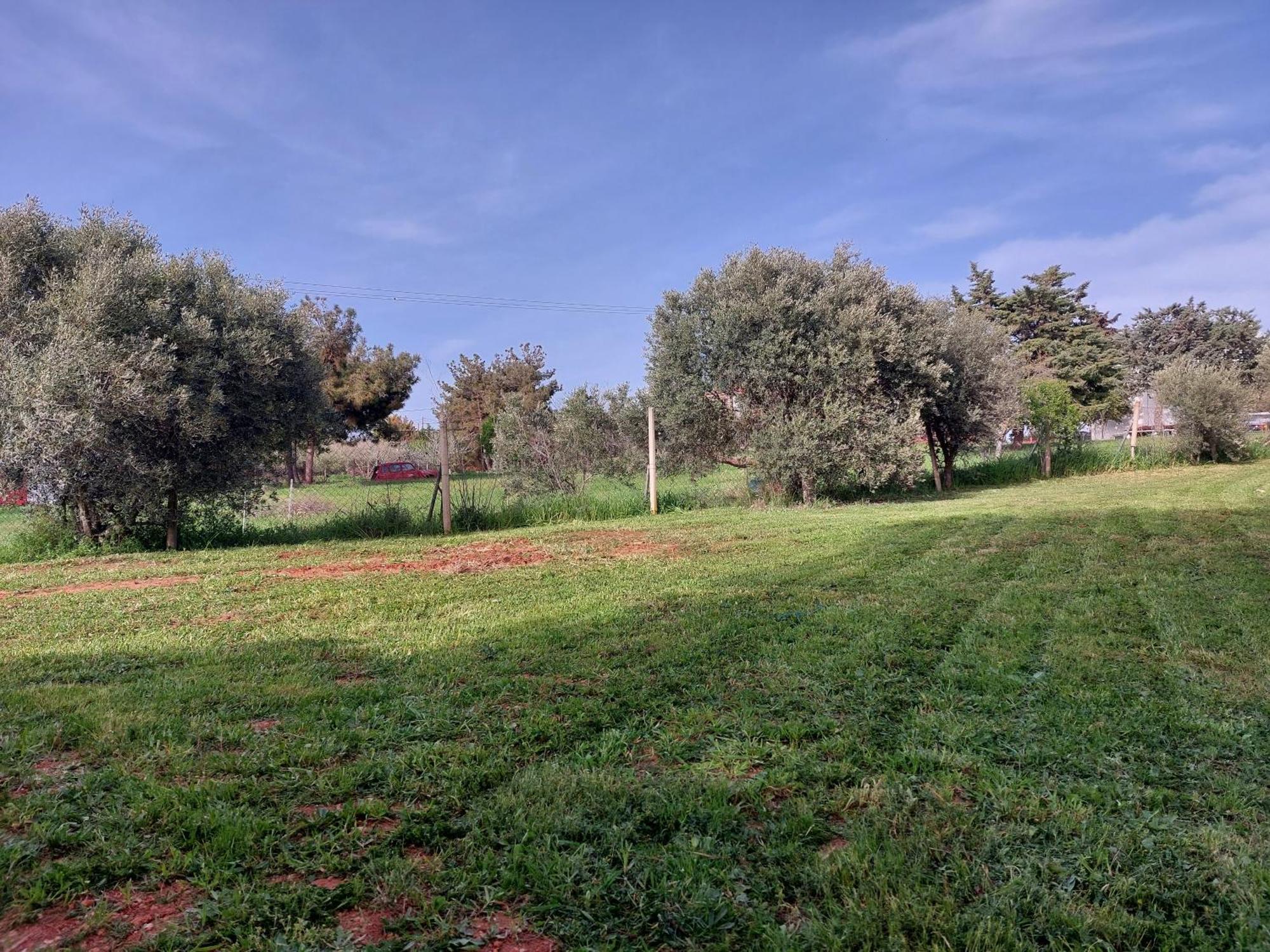 Black N' White Cozy Housegarden Alexandroupoli Bagian luar foto
